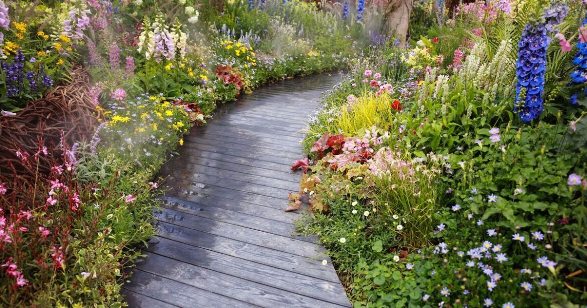 The 2 things gardeners must do to make water feature a wildlife haven