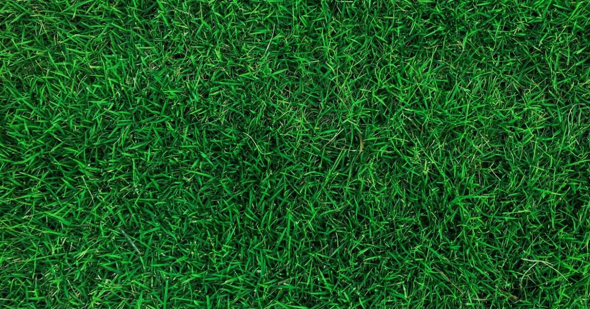 How to turn lawns greener fast with 1 natural magic kitchen staple