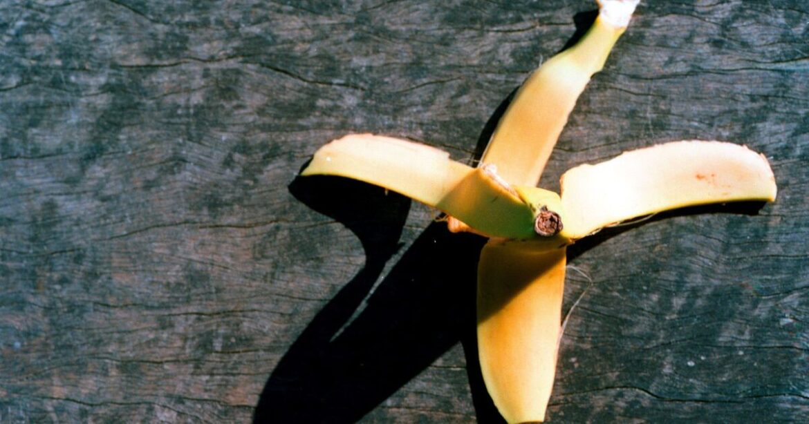 Gardeners urged to use banana peels to make plants flourish in summer