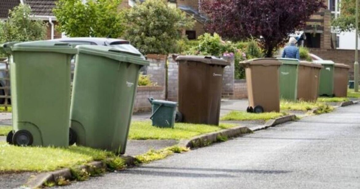 Avoid £5K fine by never disposing of these garden items in garden bin Avoid £5K fine by never disposing of these garden items in garden bin