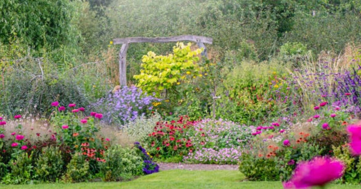 Gardeners urged to plant 5 flowers that rats find ‘repulsive’