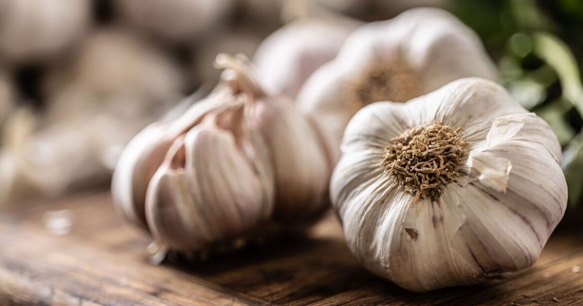 Gardeners told to place garlic near outdoor seating
