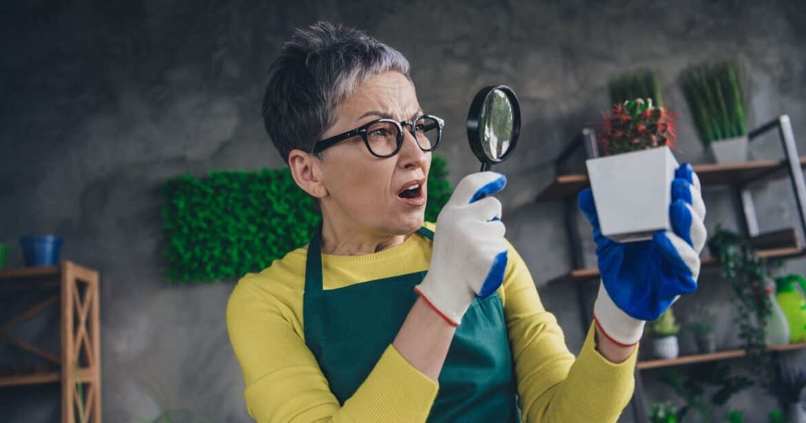 Gardener rescues 'strange' creature and can't believe what it is