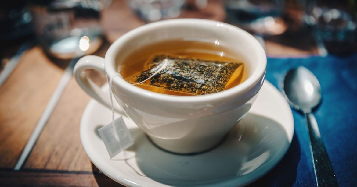Gardeners urged to place used tea bags around plants this summer | UK | News Gardeners urged to place used tea bags around plants this summer | UK | News