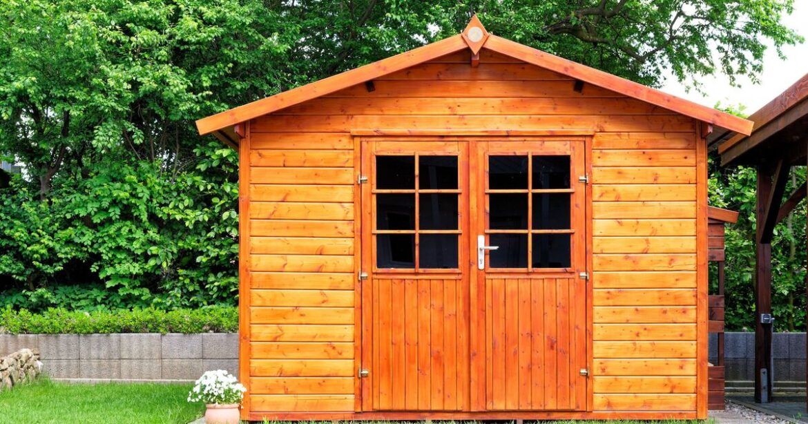 Warning issued to anyone with a garden shed over 'aggressive' insect