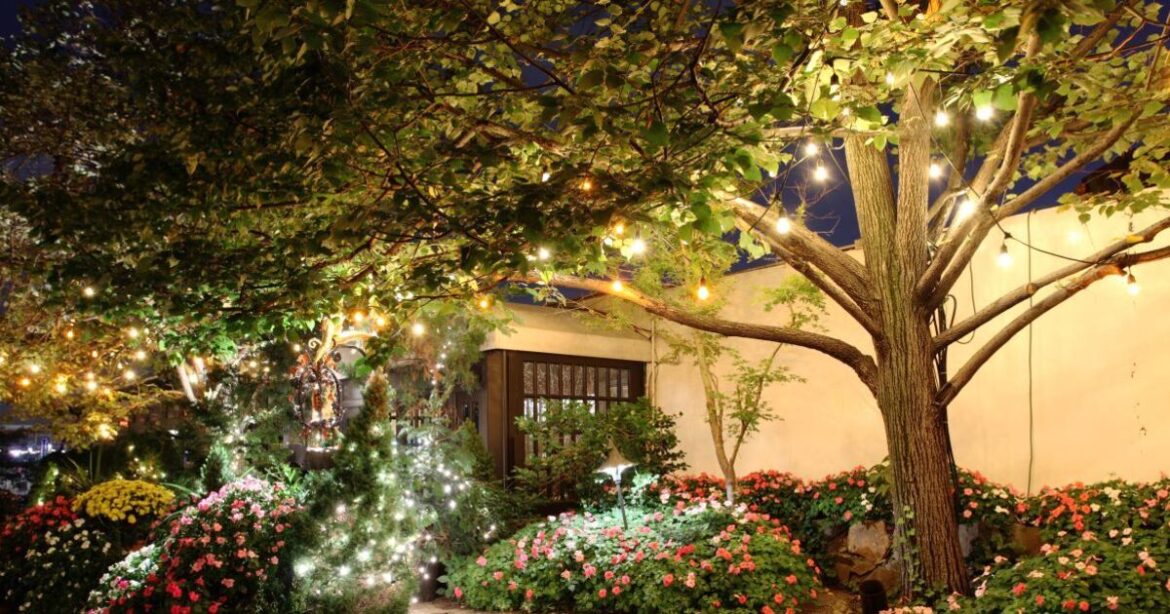 Warning issued to anyone with solar-powered lights in their garden Warning issued to anyone with solar-powered lights in their garden