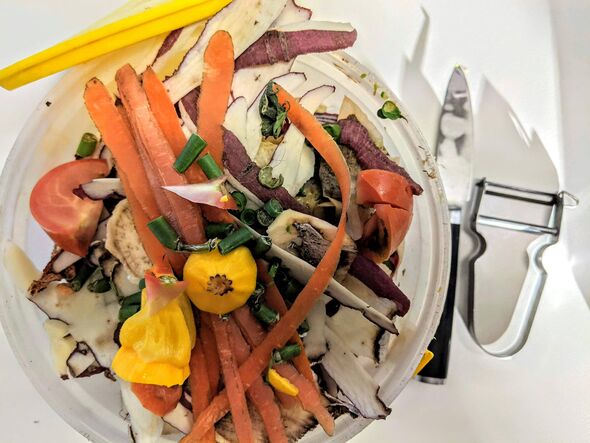 food compost from above