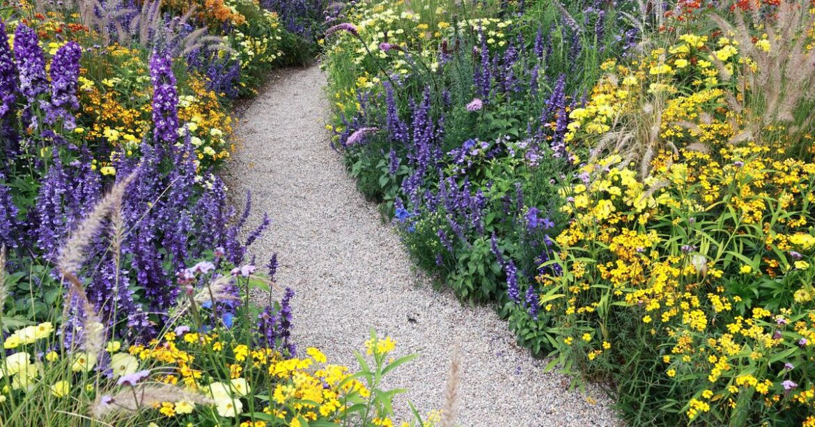 Flowers will will bloom like never before with 1 gardening method Flowers will will bloom like never before with 1 gardening method