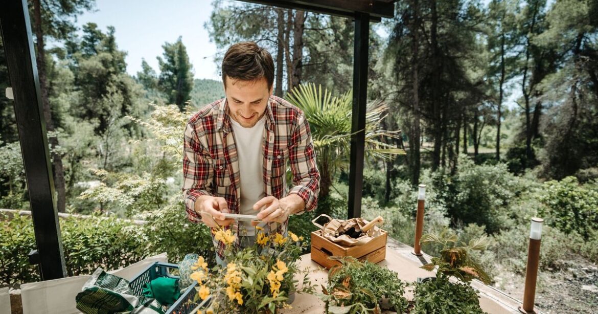 Gardeners urged to put old tin cans outside for one reason