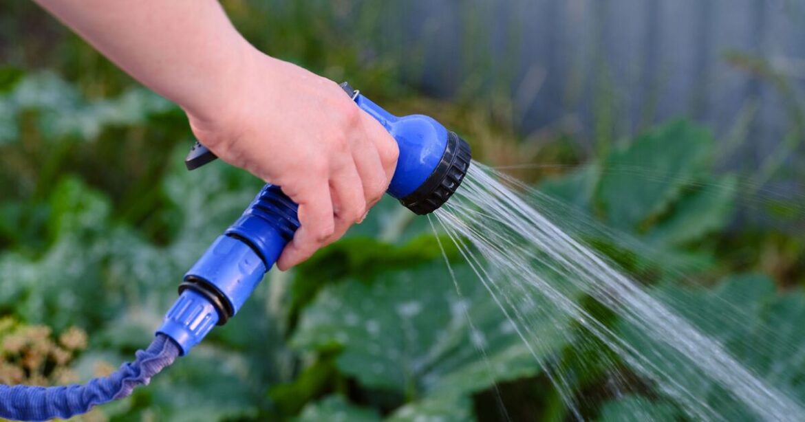 Households told not to water lawn or garden on Saturday, Sunday or Monday | UK | News