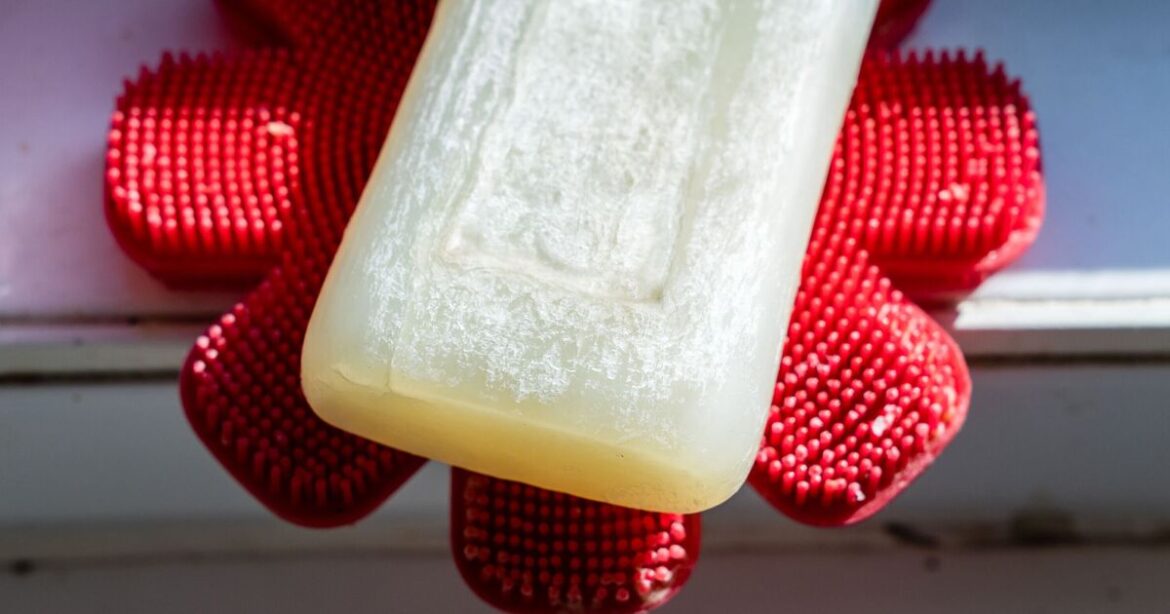 Gardeners urged to hang bars of soap in their garden