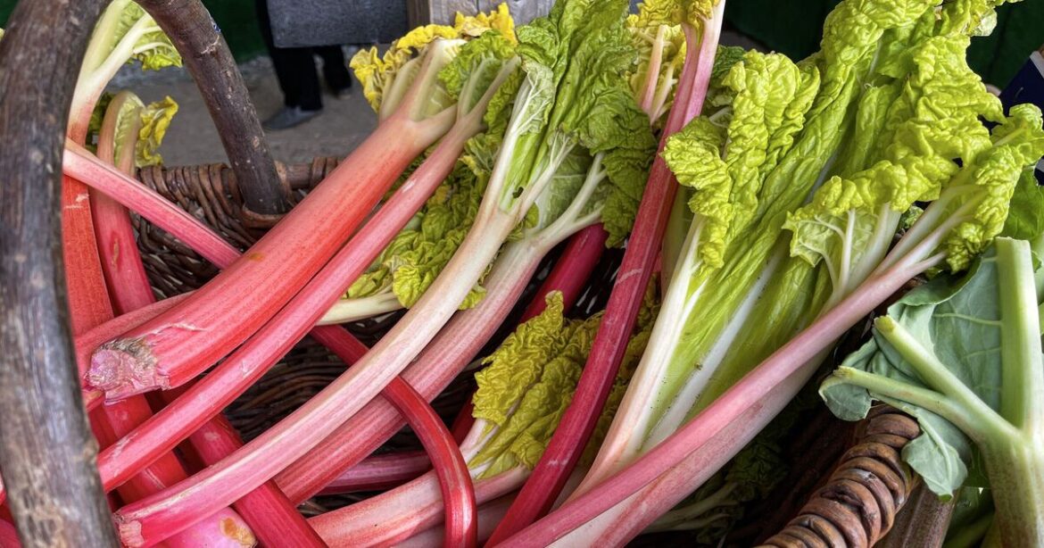 Anyone growing rhubarb should remove one thing from plants