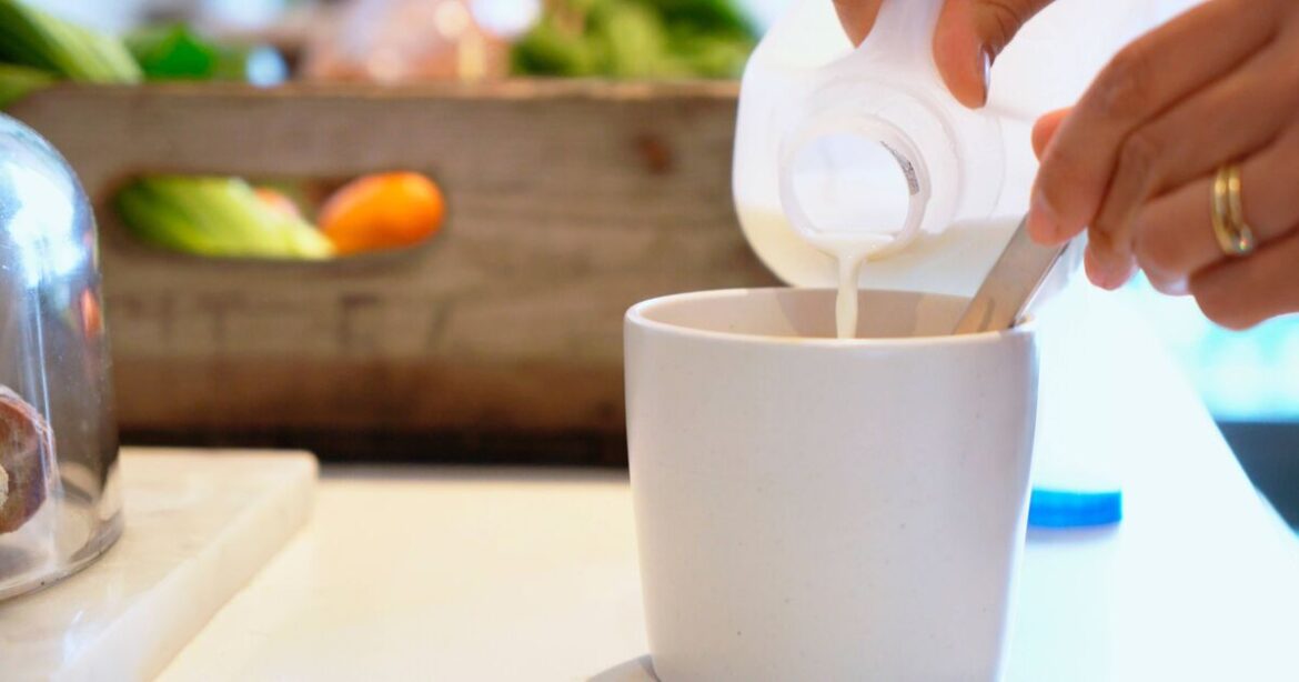 Gardeners advised to keep empty milk cartons for one important task Gardeners advised to keep empty milk cartons for one important task