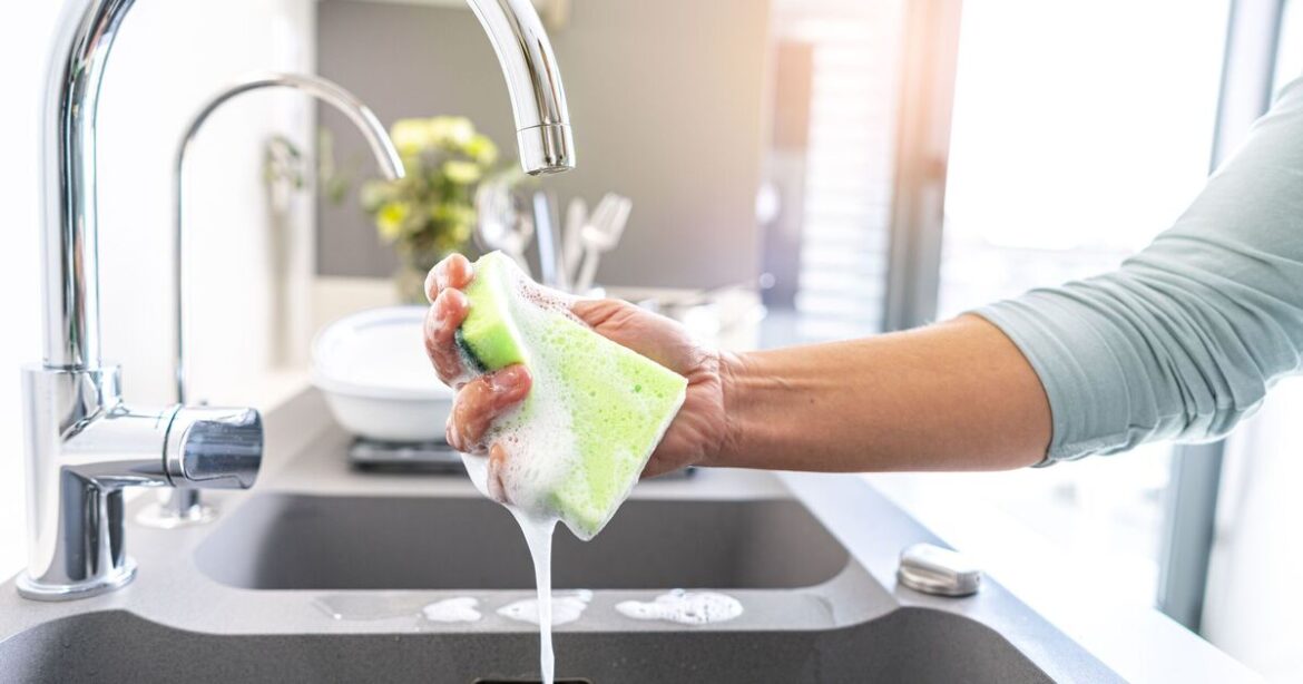 Gardeners urged to put washing up sponges in garden this month