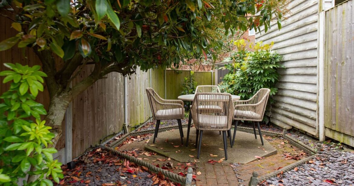 Using this one household item will make your garden look bigger | UK | News