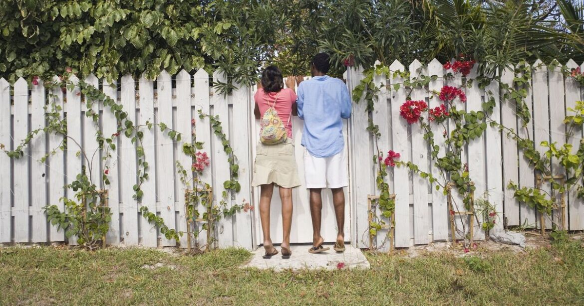Easy £18 DIY fence trick from bargain store transforms garden and improves privacy Easy £18 DIY fence trick from bargain store transforms garden and improves privacy