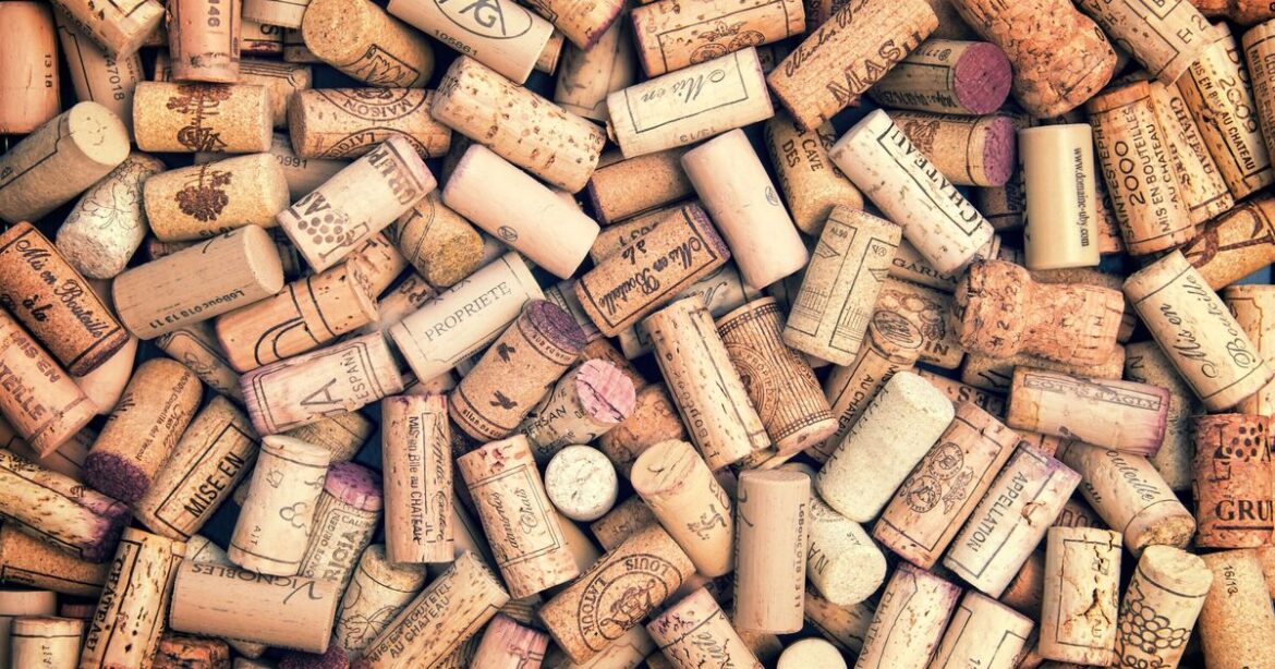 Gardeners urged to keep wine corks to help plants this summer Gardeners urged to keep wine corks to help plants this summer