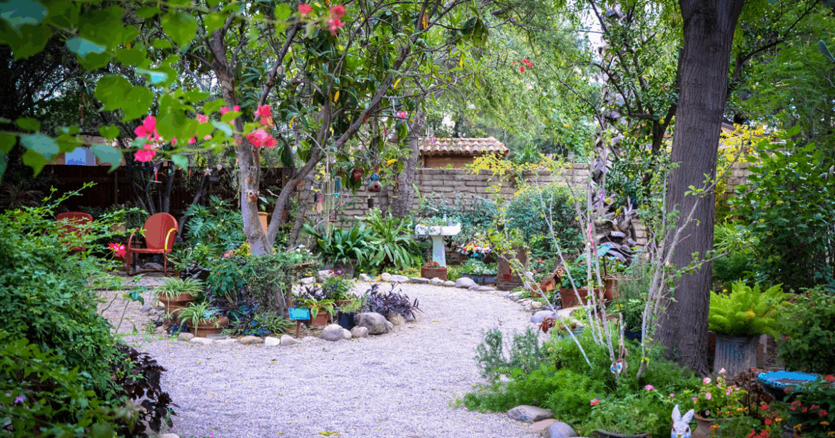 Tucson Botanical Gardens welcomes Yume Japanese Gardens | Local News