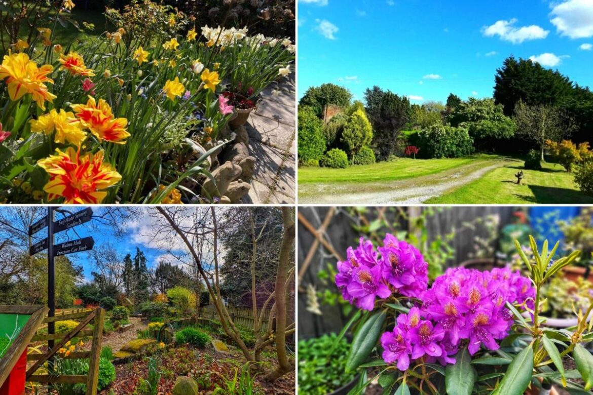 13 photos bursting with colour for National Gardening Week in Warrington 13 photos bursting with colour for National Gardening Week in Warrington