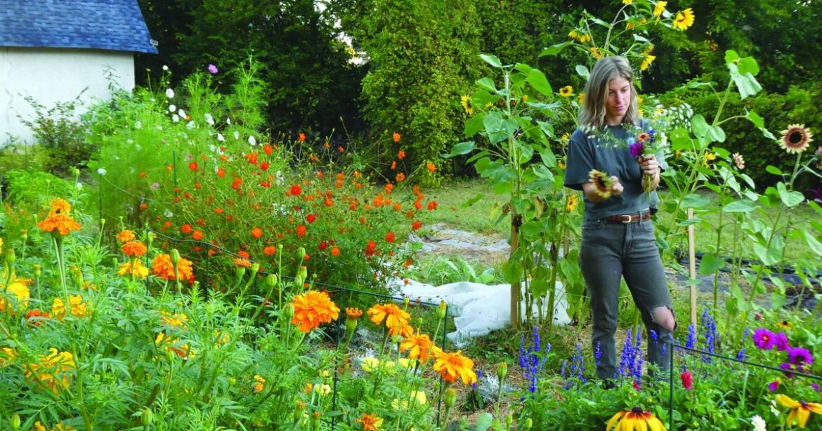 Gardening Tips for Iyar: Finding Sacred Space in the Soil | Community