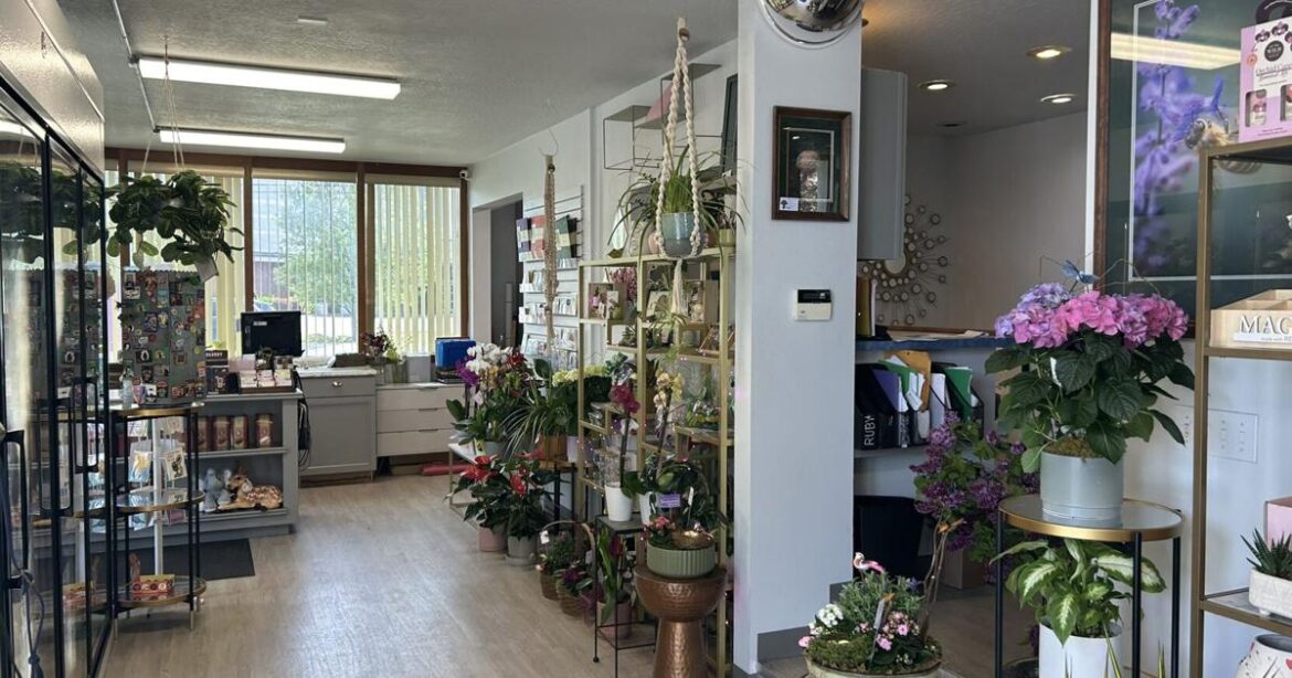 Mother's Day flower prices rise due to tariff increases on imported blooms | News