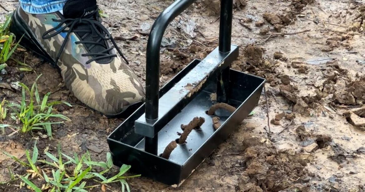 Lawn looking lackluster? Aeration might be the key | Johnette’s Garden Club Lawn looking lackluster? Aeration might be the key | Johnette’s Garden Club