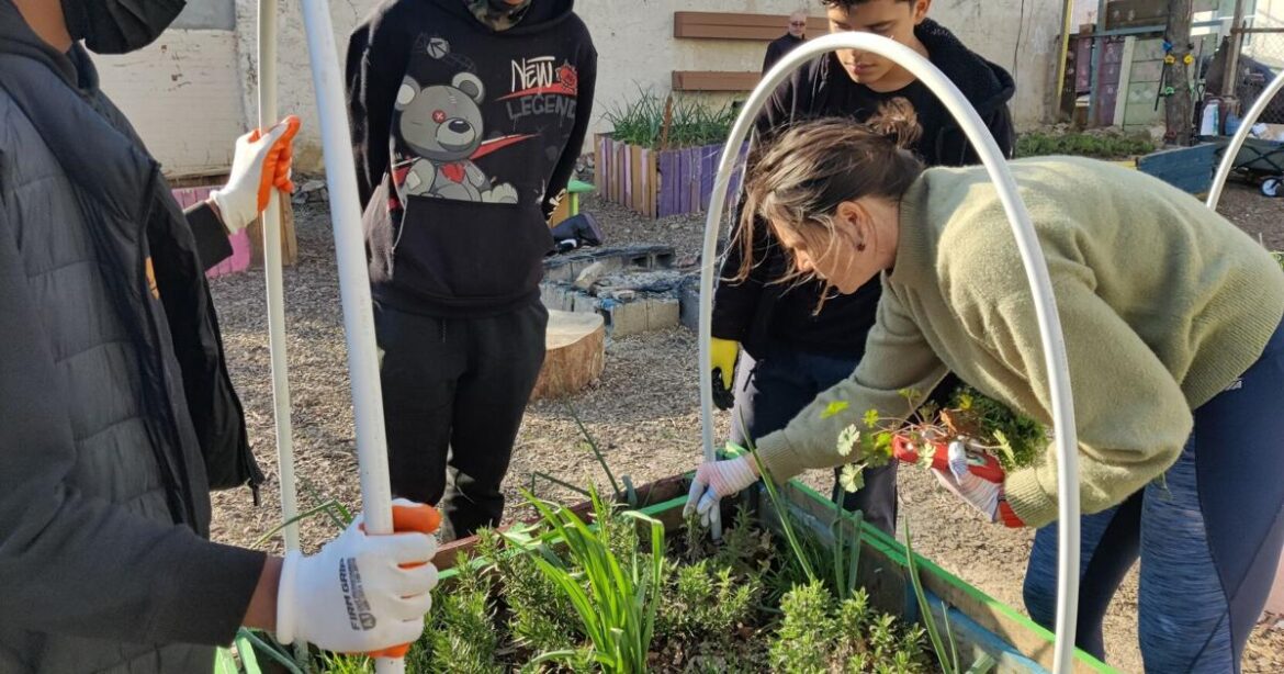 Veritas Academy grad hires teens to work in community garden, clean up Philly neighborhood [column] | Home & Garden