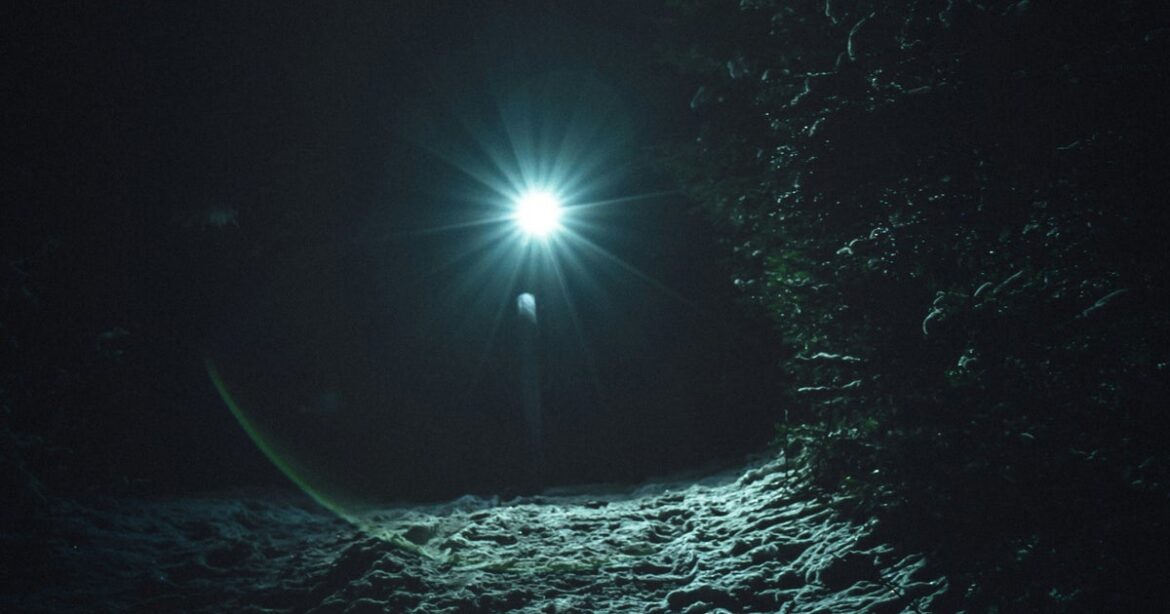 UK Gardeners Asked To Do Torchlit Search At Night UK Gardeners Asked To Do Torchlit Search At Night