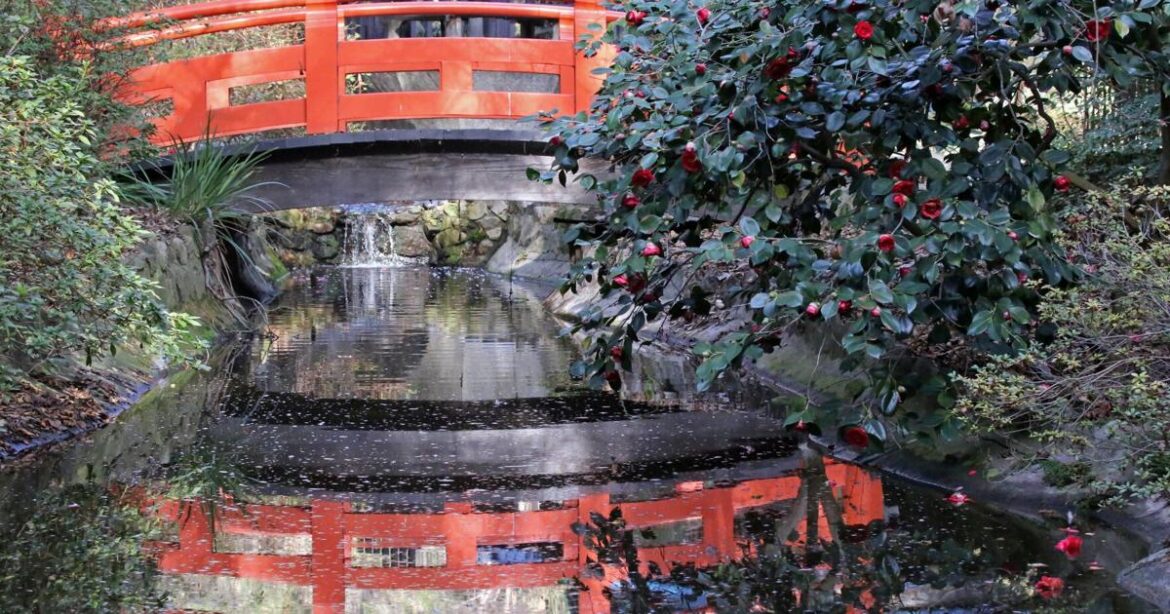 Why Descanso Gardens is LA’s most relaxing escape | Entertainment Why Descanso Gardens is LA’s most relaxing escape | Entertainment