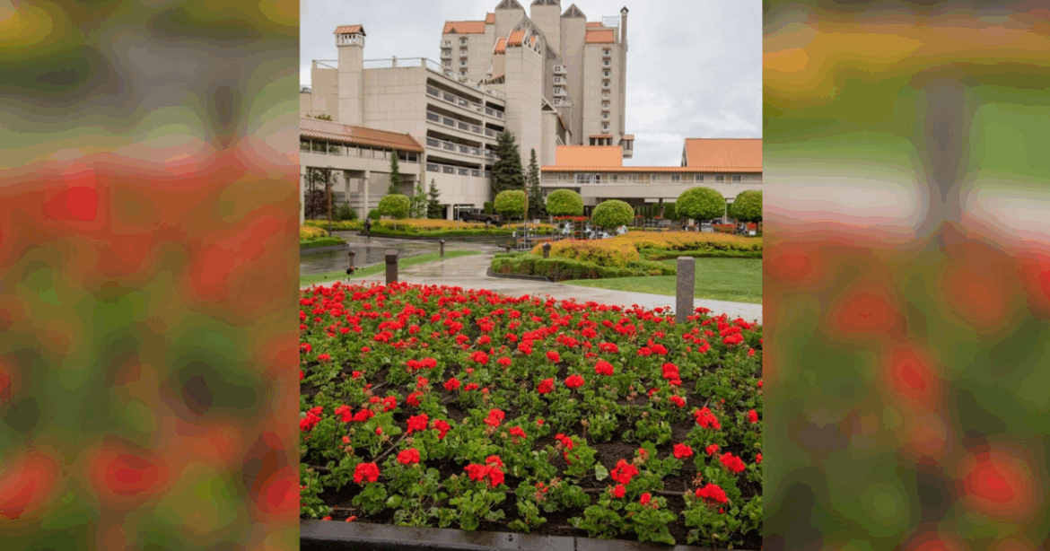 30,000 red flowers transform Coeur d'Alene Resort | Entertainment