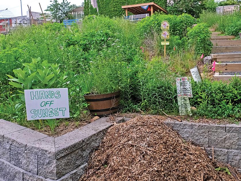 Parks moves to evict Ridgewood garden | Parks moves to evict Ridgewood garden |