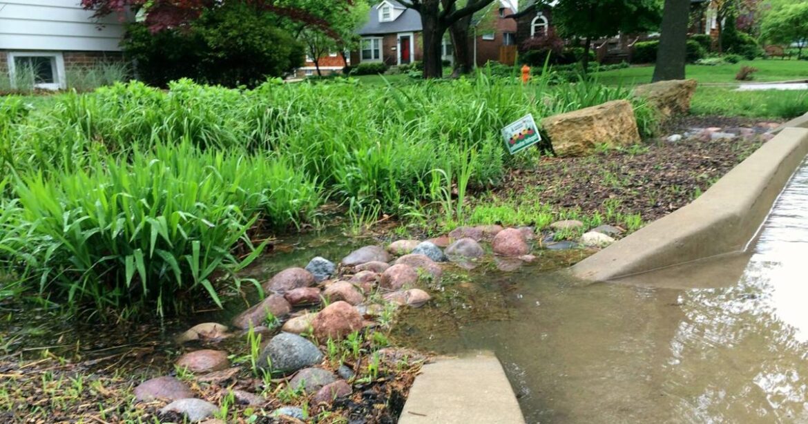 In the Garden | Let it pour | Gardening