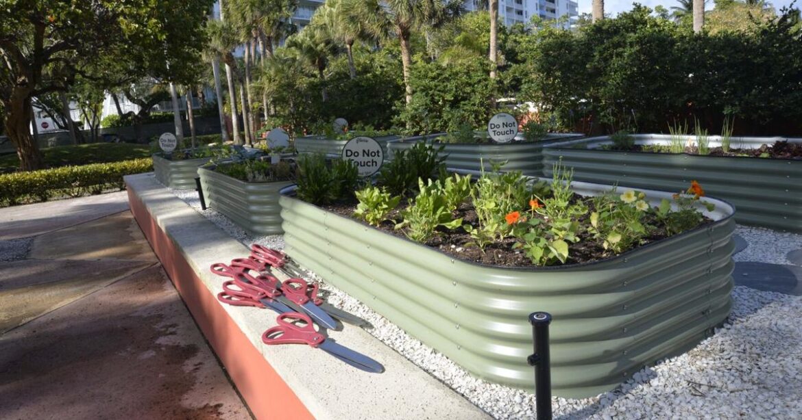 Island celebrates opening of Community Garden | BeachCombings