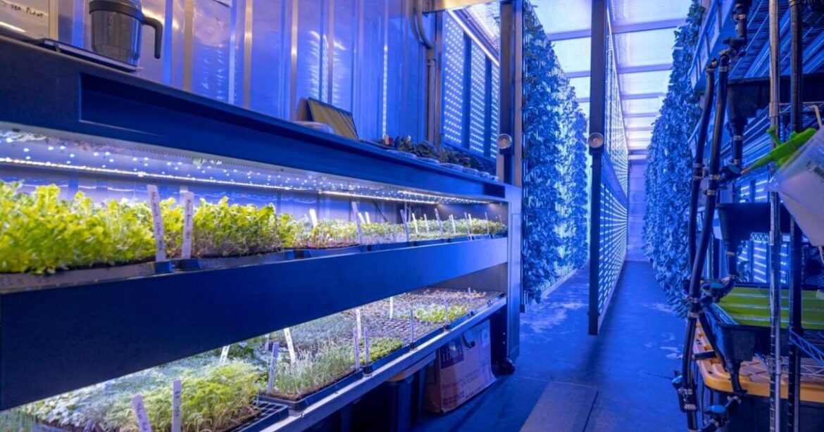 King Tide Farms pioneers farm-to-table