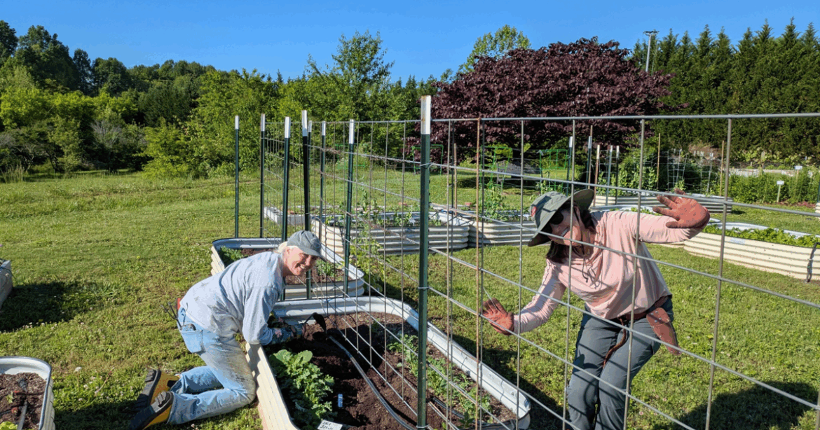Master Gardeners showcase community garden | Local News Master Gardeners showcase community garden | Local News