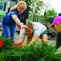 Multi-generational Beautification group brings value to the gardens | Local Government Multi-generational Beautification group brings value to the gardens | Local Government