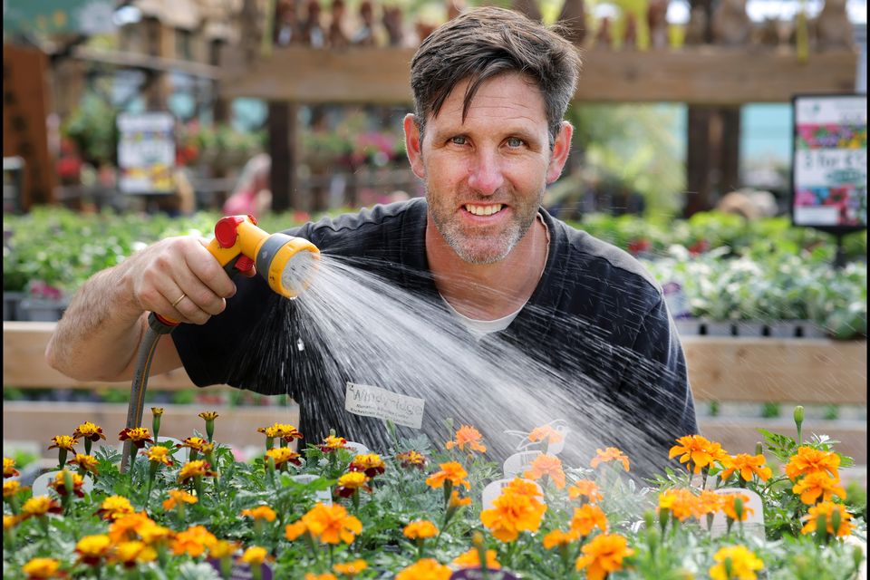 Paul Harvey from Windyridge Garden Centre in Dun Laoghaire. Photo: Steve Humphreys