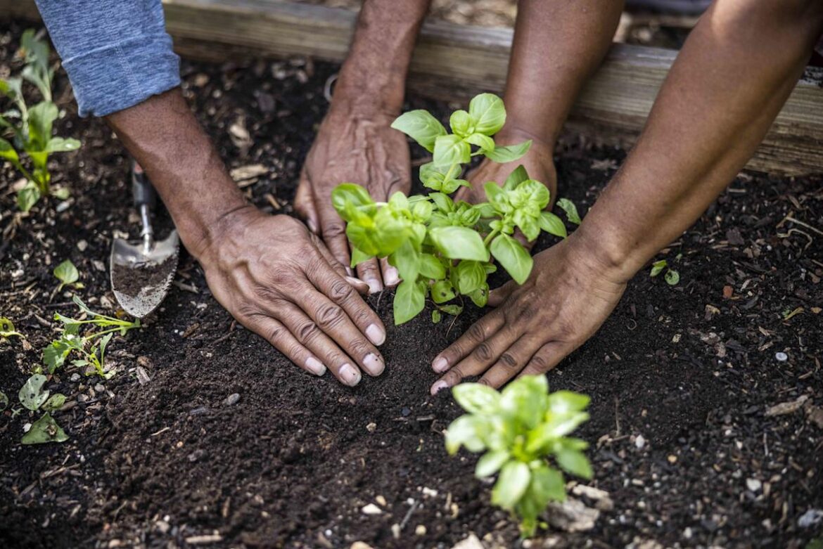 9 Lessons These Gardeners Learned From Their Moms (and Still Use Now) Yahoo lifestyle home