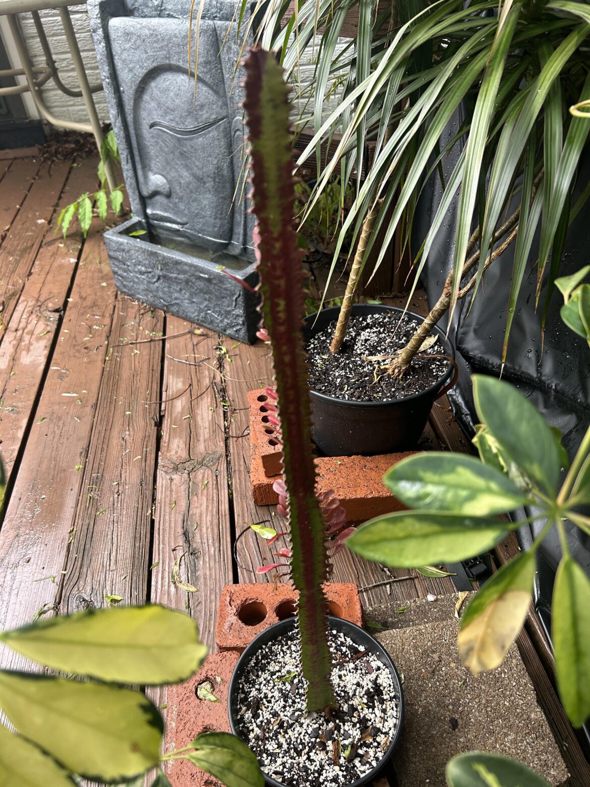 Is this sub stress or did I burn my guy?