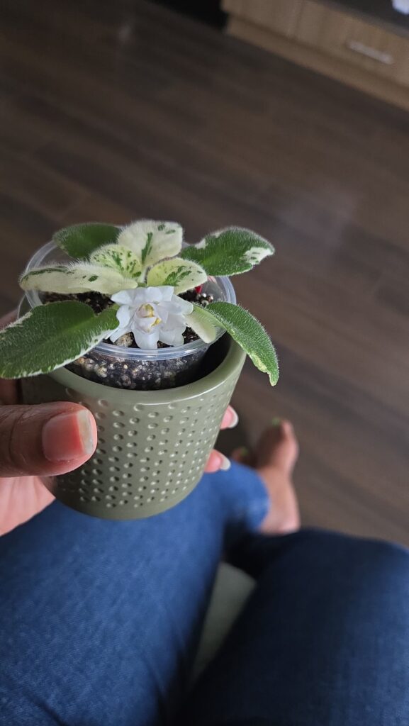 Is this normal?