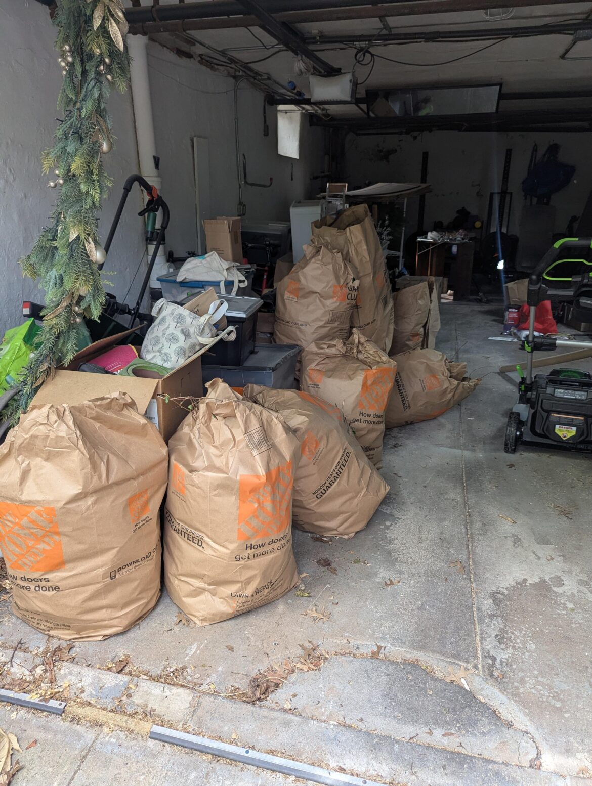 Just wanted to share pics of my English Ivy