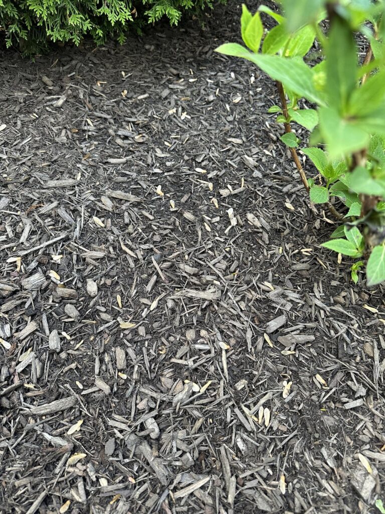 Help! Expediting Mulch Decomposition