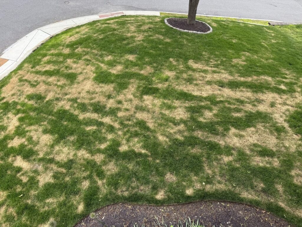 What is going on here? How did I ruin it?