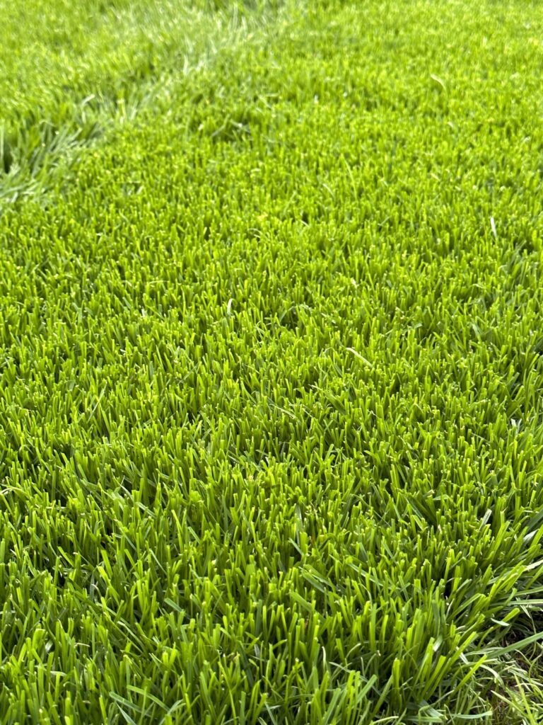 Post Fall reno hoping it’s a slow green up