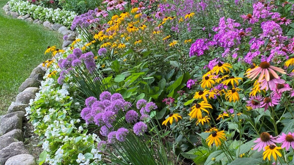 Homestyle's Garden Photo Contest gearing up for 2025