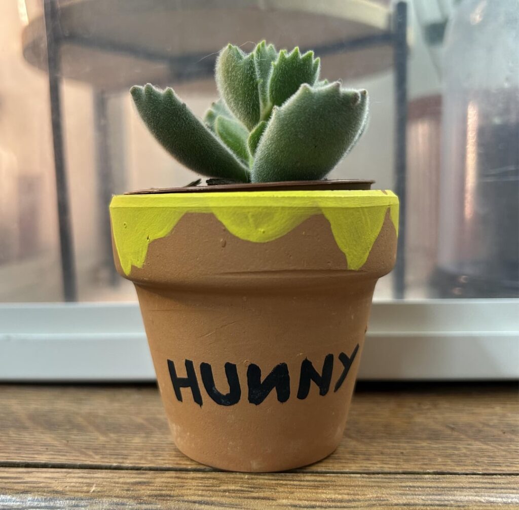 Show me your perfect plant & pot duo. I’ll go first