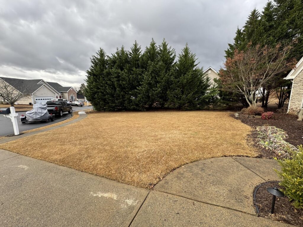 First Season in New Home