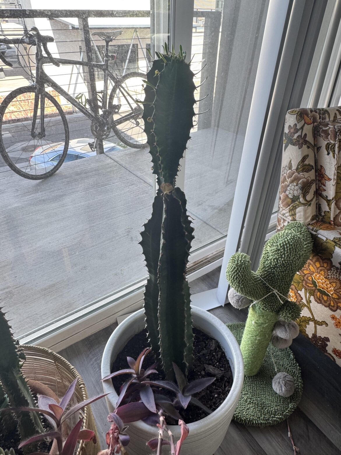 Concerns about growth