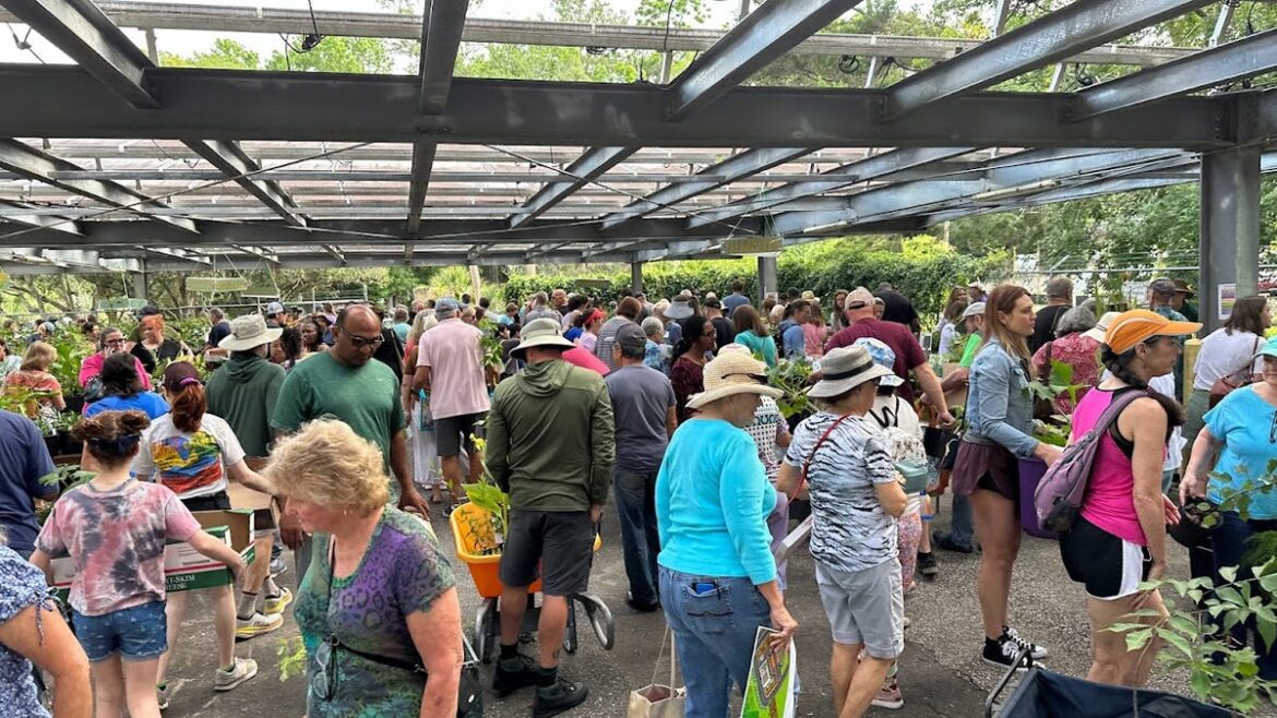 Meet the Master Gardeners, buy a bouquet at annual plant sale