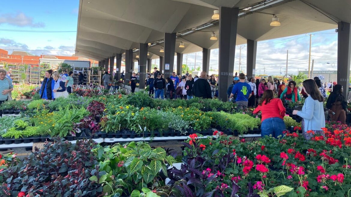 Eastern Market's Flower Day shoppers bring garden dreams and a big wagon